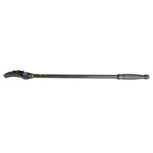 24" Indexing Pry Bar